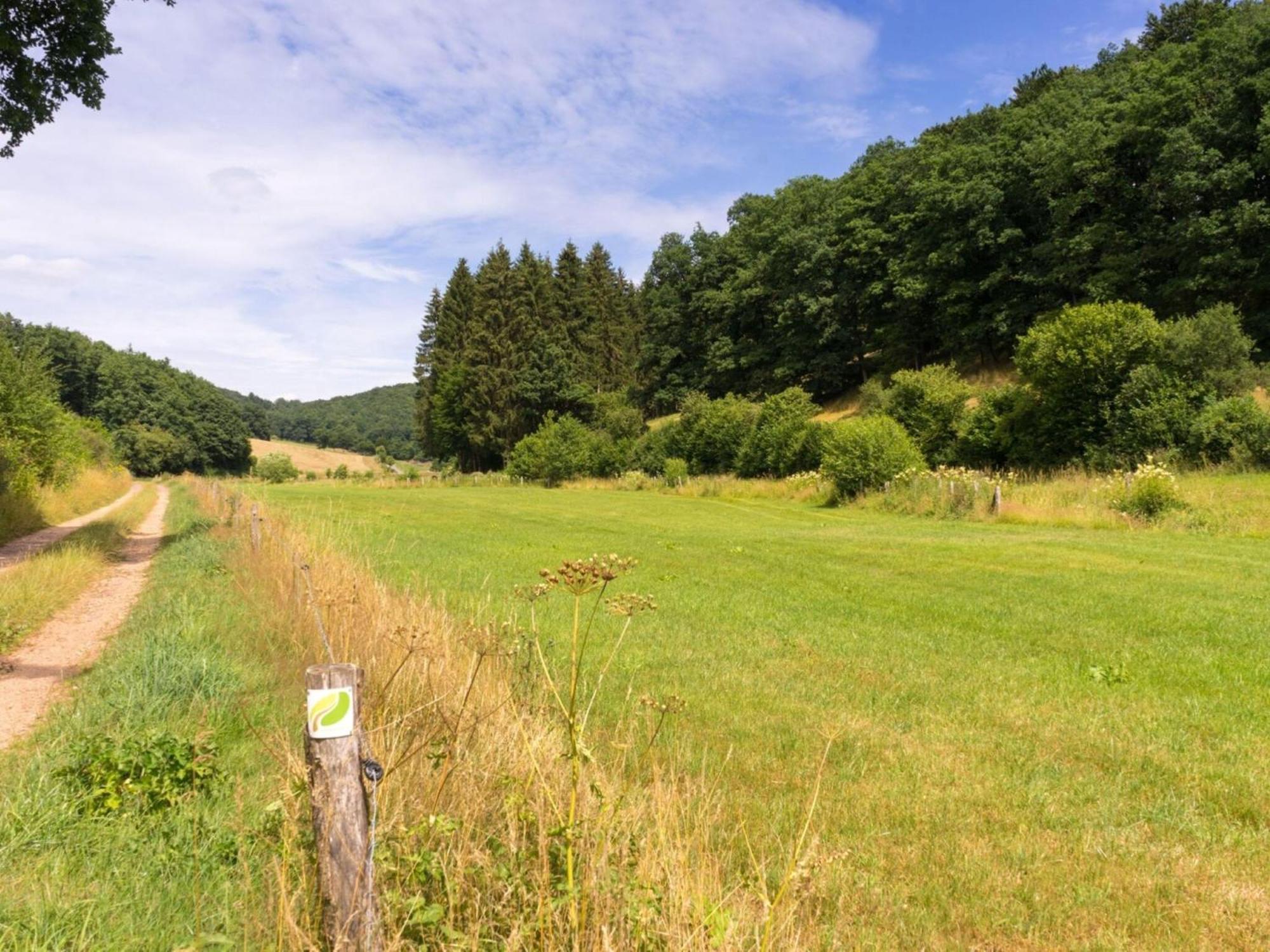 Luxurious Bungalow In Waxweiler In The Eifel المظهر الخارجي الصورة